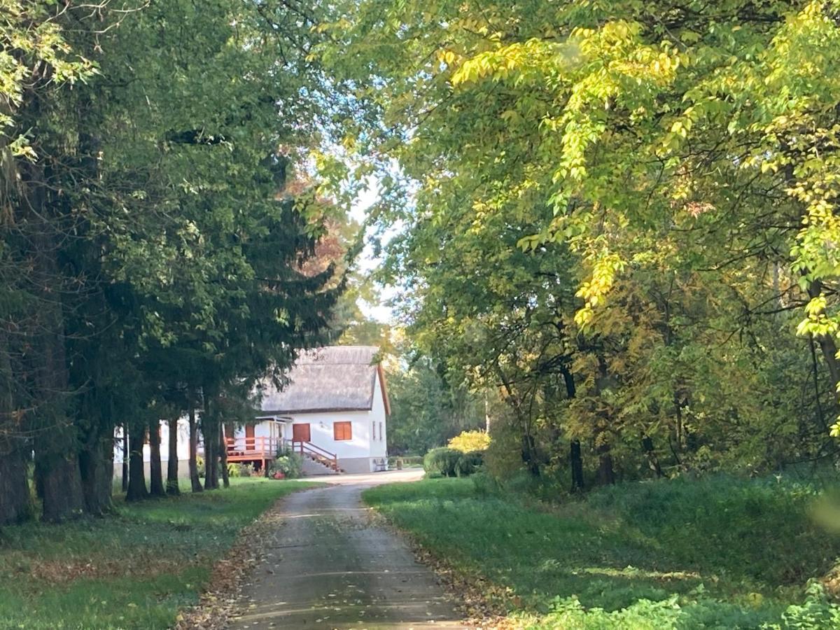 Wildente Vadaszhaz Tamasi Exterior photo